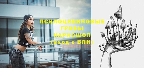 apvp Верея