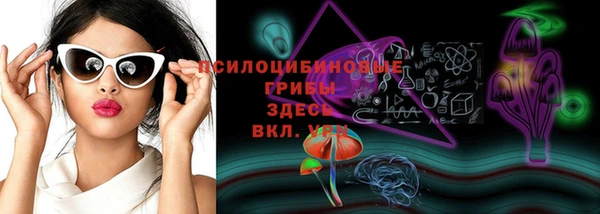 мяу мяу мука Верхний Тагил