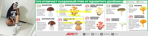 apvp Верея