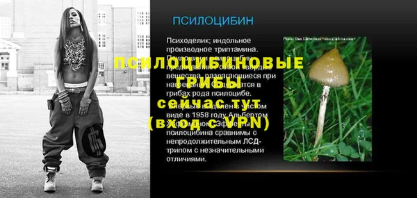 apvp Верея